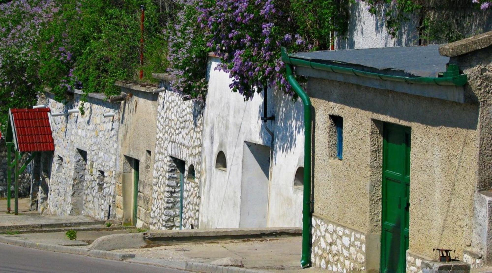 Fenyo Panzio Bed and Breakfast Mezőkövesd Buitenkant foto