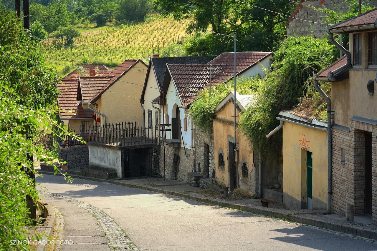 Fenyo Panzio Bed and Breakfast Mezőkövesd Buitenkant foto